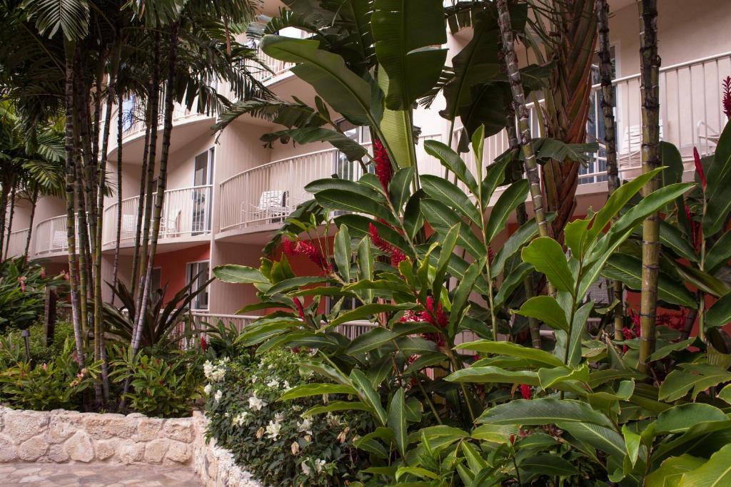 فندق هونولولوفي  ويندهام وايكيكي بيتش وواك المظهر الخارجي الصورة
